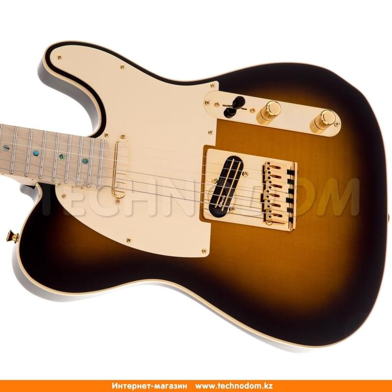 Электро гитара Fender  Richle Kotzen Tele MN BSB 025-5202-532 - фото #6