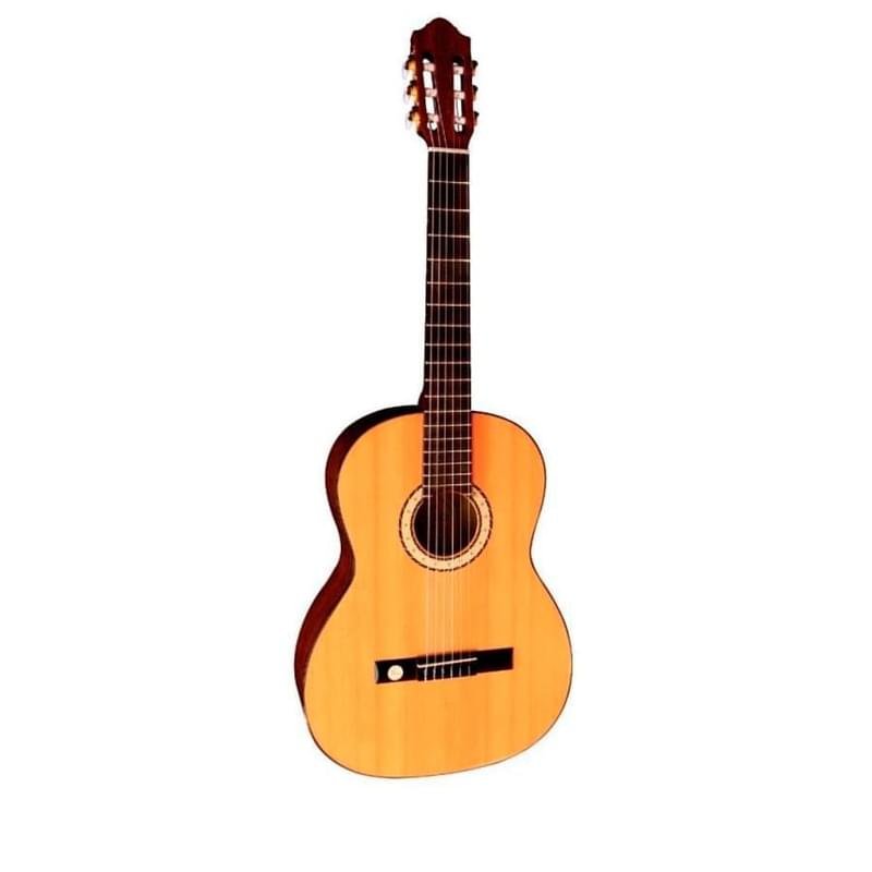 Акустическая гитара Gewa 10-CM классическая гитара Gloss Solid Cedar/Mahagay 501116 - фото #0