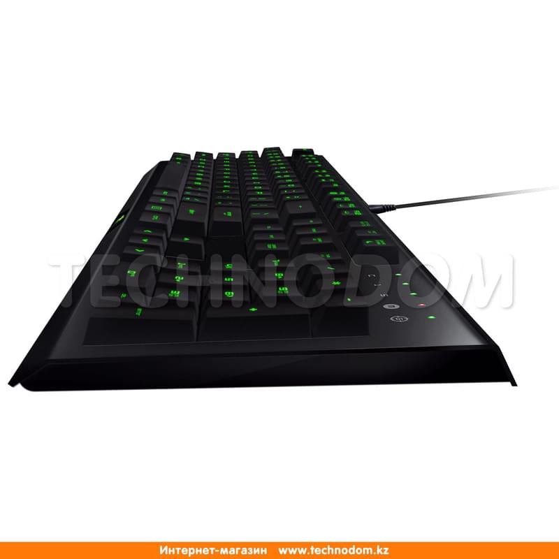 Клавиатура игровая проводная USB Razer Cynosa Pro Bundle, RZ84-01470200-B3R1 - фото #4