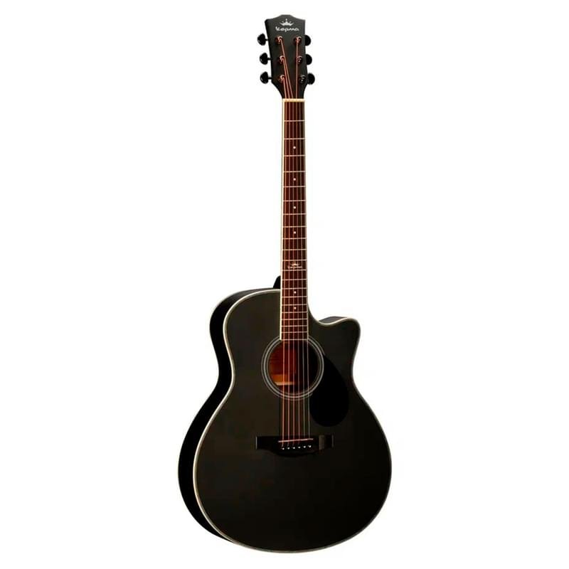 Акустическая гитара KEPMA A1C Black Matt, черный - фото #0