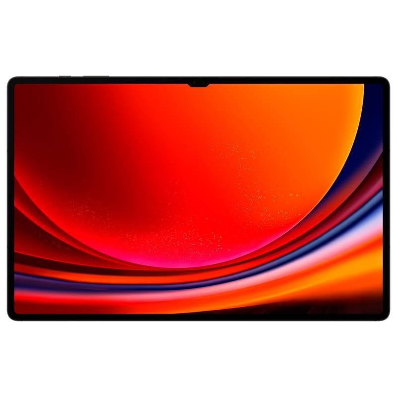 Планшет Samsung Galaxy Tab S9 Ultra 14,6 256GB WiFi + 5G Graphite (SM-X916BZAASKZ) - фото #1