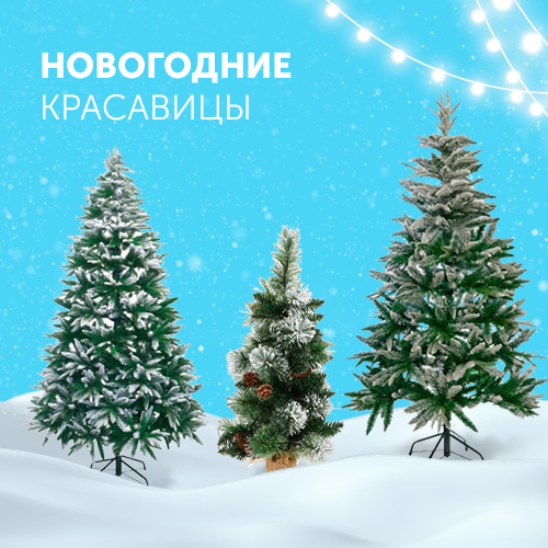 Новогодние красавицы