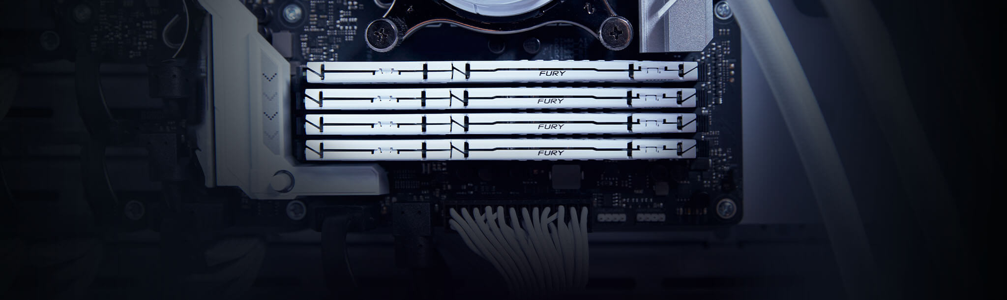 Kingston ddr5 5600. Kingston fury beast white.