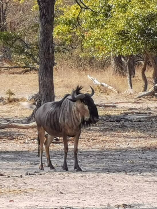 HUAWEI Mate 30 Pro 3D depth sensing camera