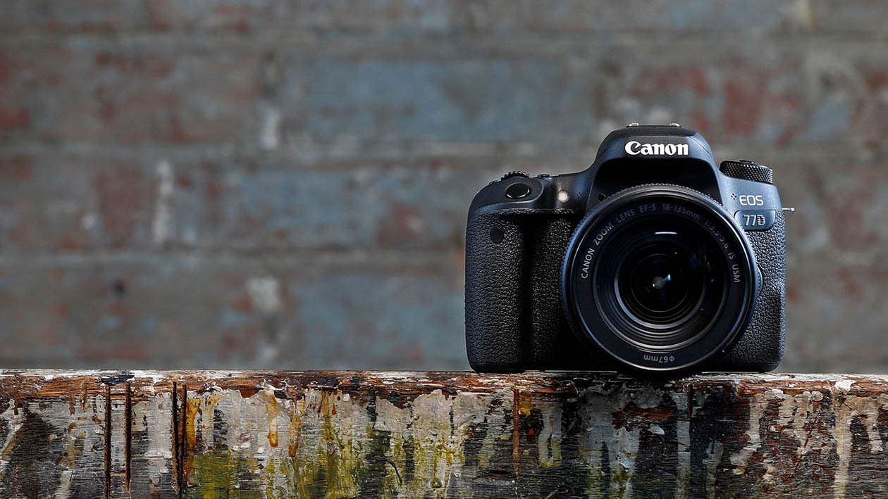 Canon 77d примеры фото Зеркальный фотоаппарат Canon EOS 77D EF-S 18-135 IS USM - купить по лучшей цене 